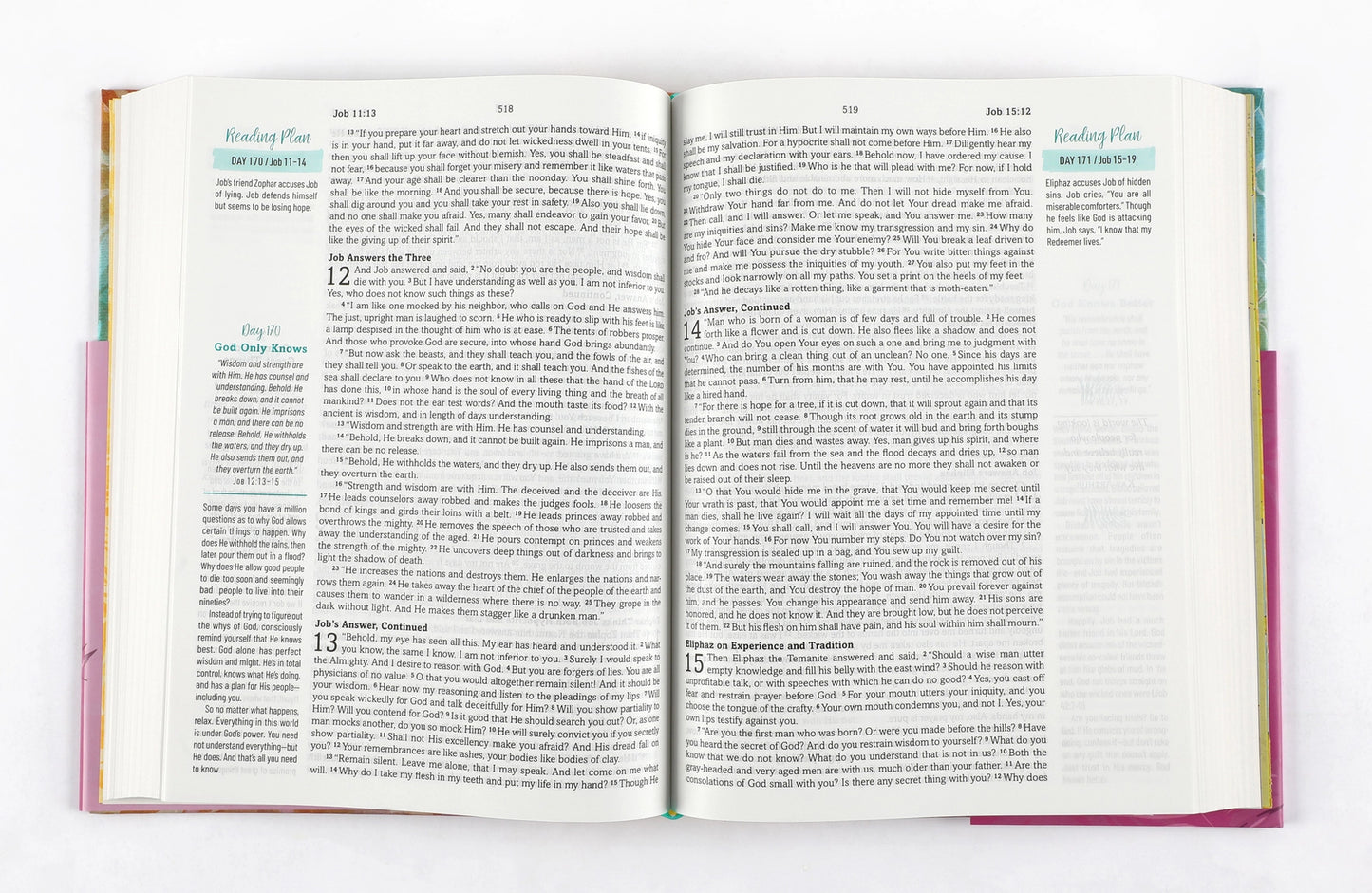 Devotional Bible for Gutsy Girls
