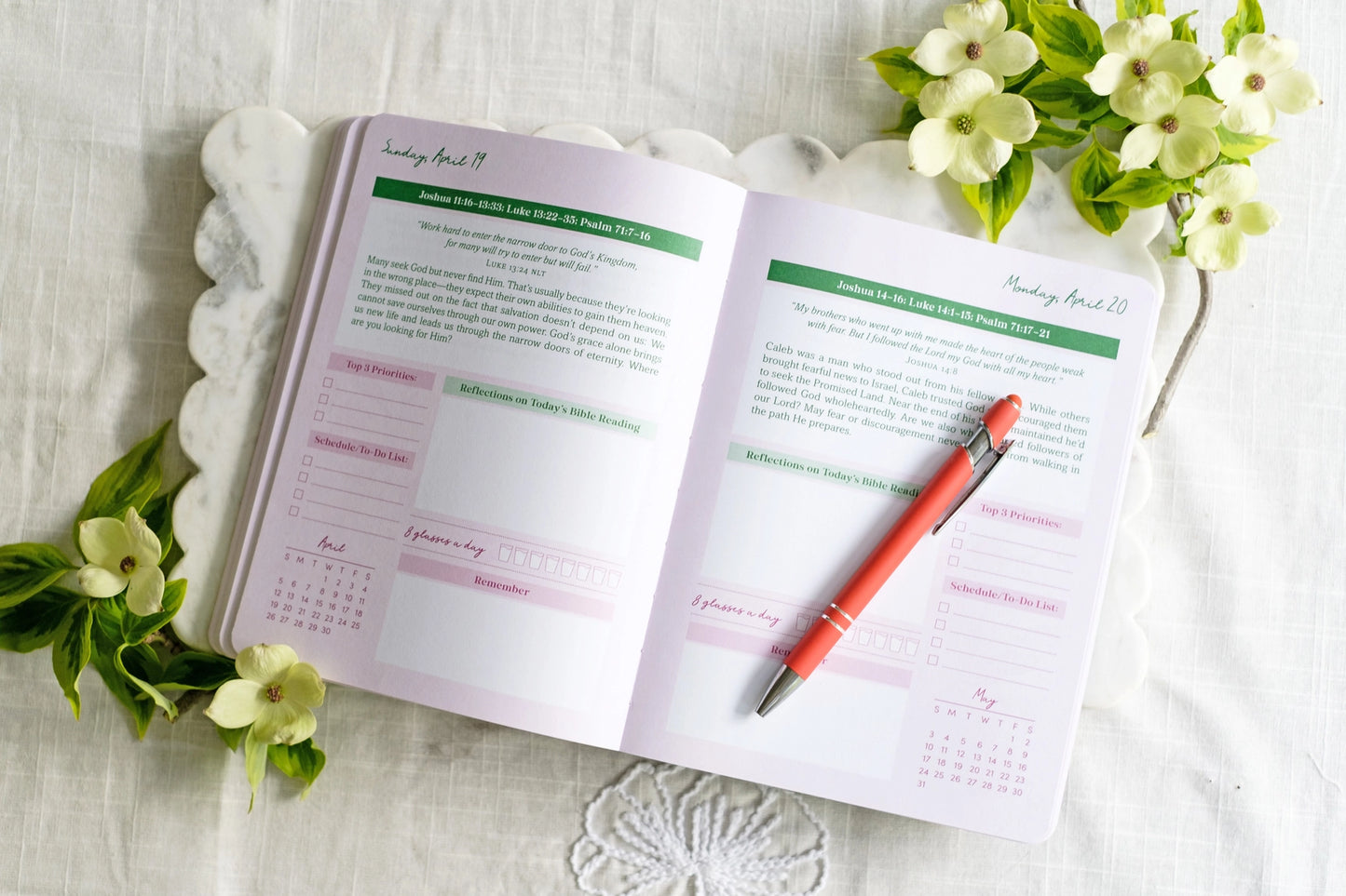 Bible in a Year Planner 2026