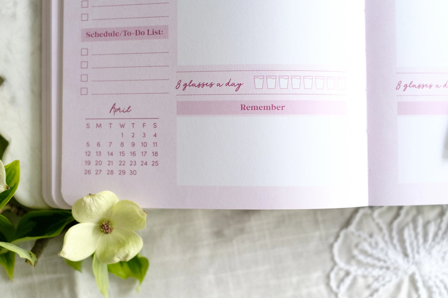 Bible in a Year Planner 2026