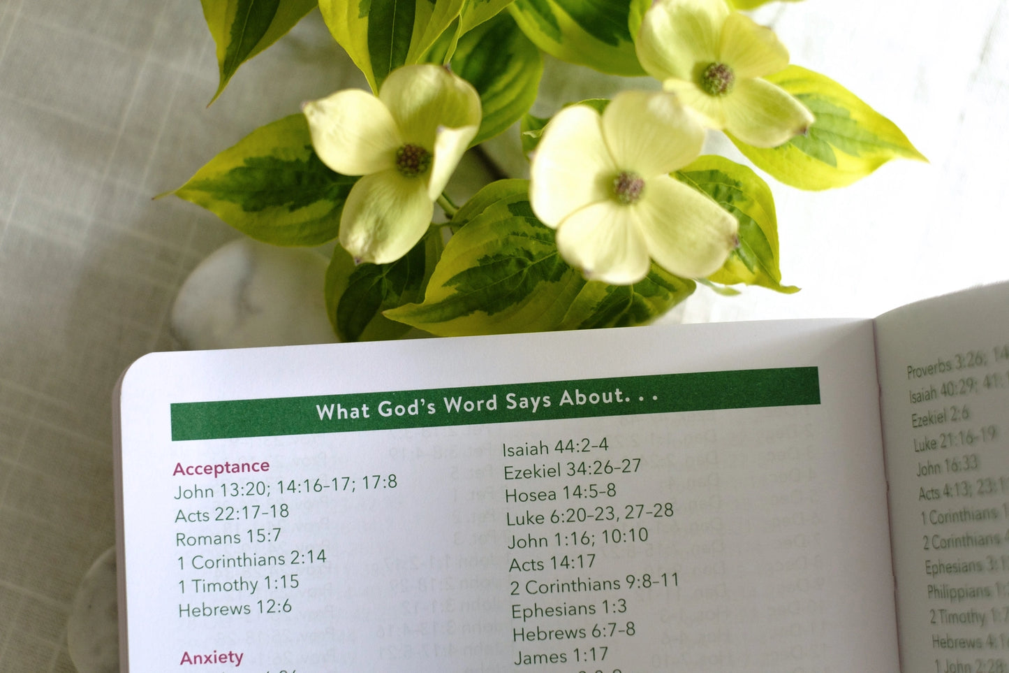 Bible in a Year Planner 2026