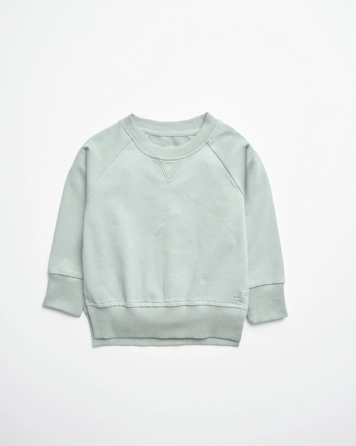 Little Bipsy Agave Pullover