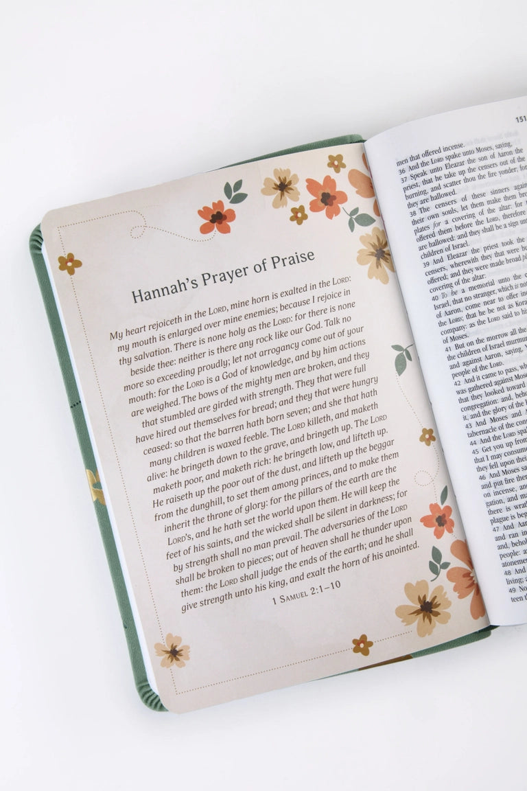 The Holy Bible: Prayer Map Edition