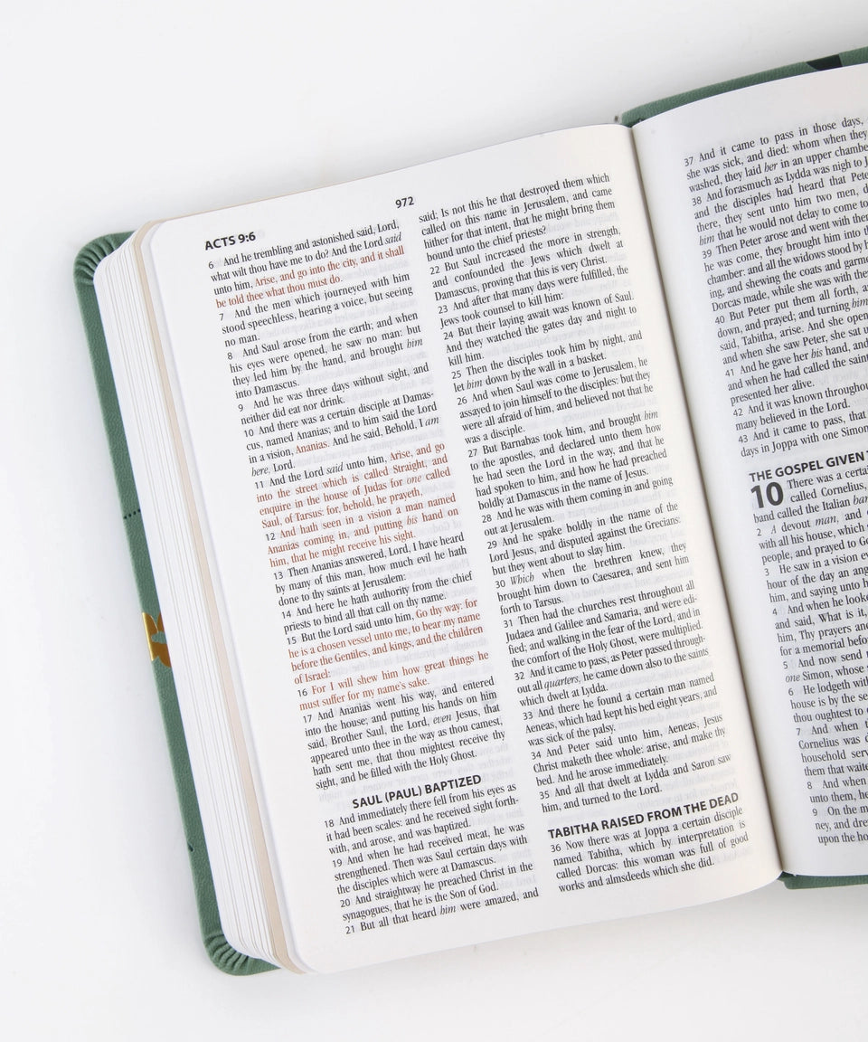 The Holy Bible: Prayer Map Edition