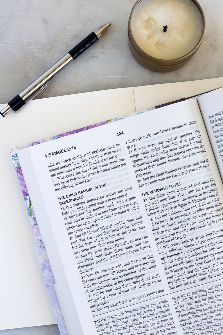 Hummingbird Bible- Large print