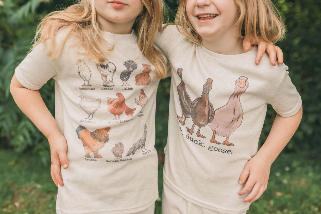 Duck, Duck, Goose set