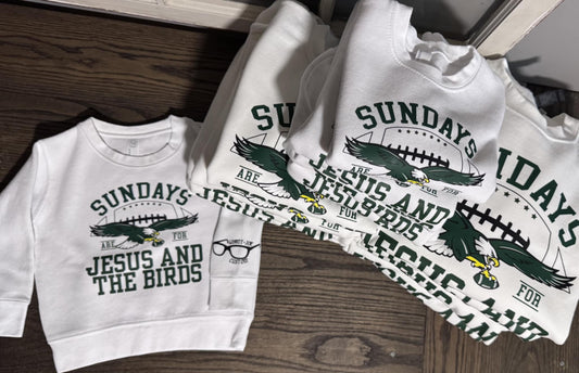 Jesus and the Birds- Adult