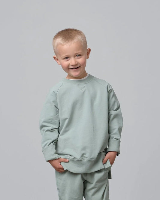 Little Bipsy Agave Pullover