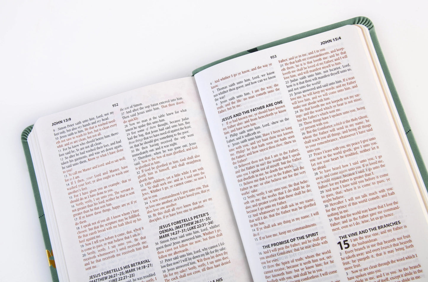 The Holy Bible: Prayer Map Edition