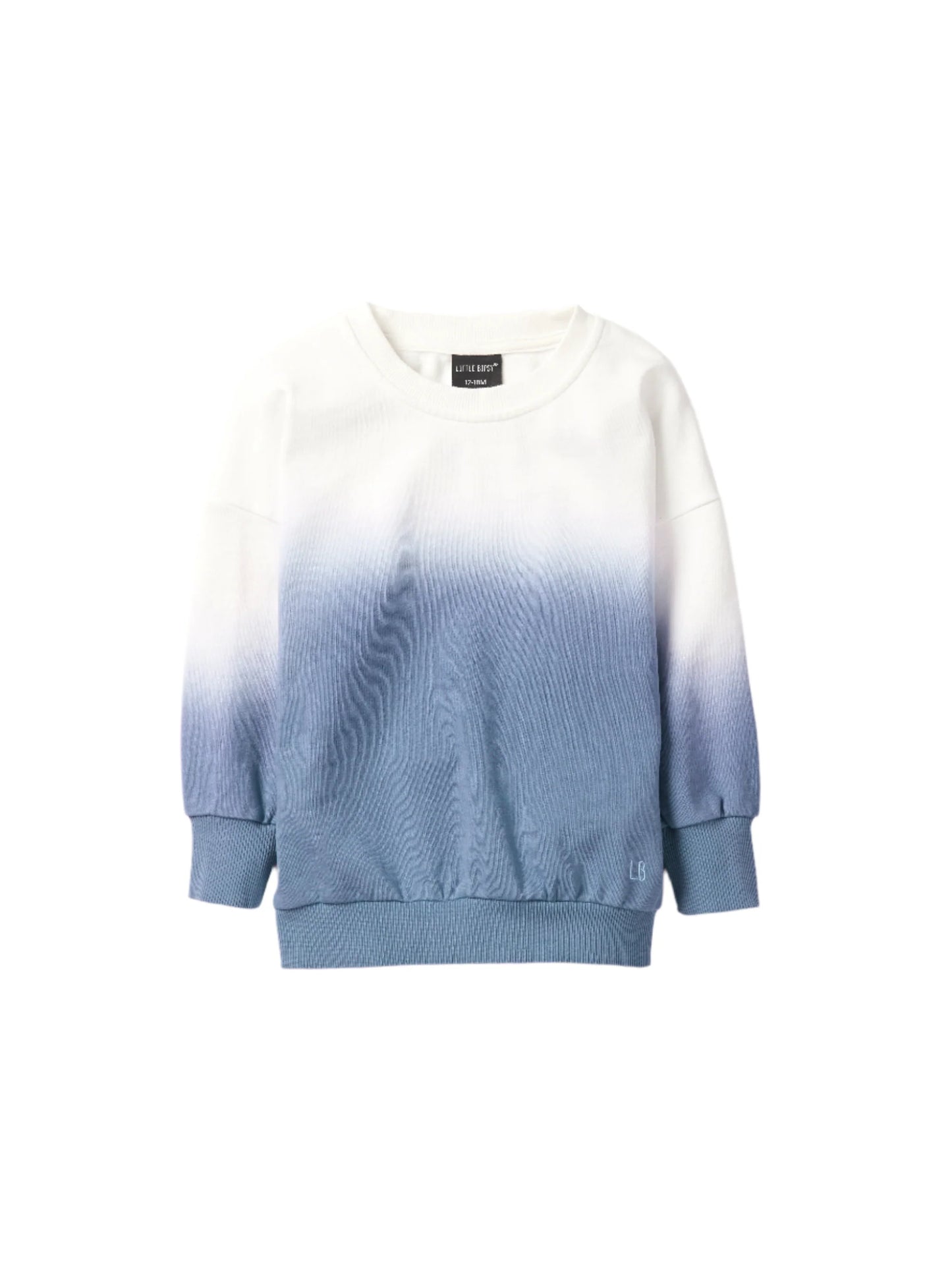 Little Bipsy Ombre Crewneck