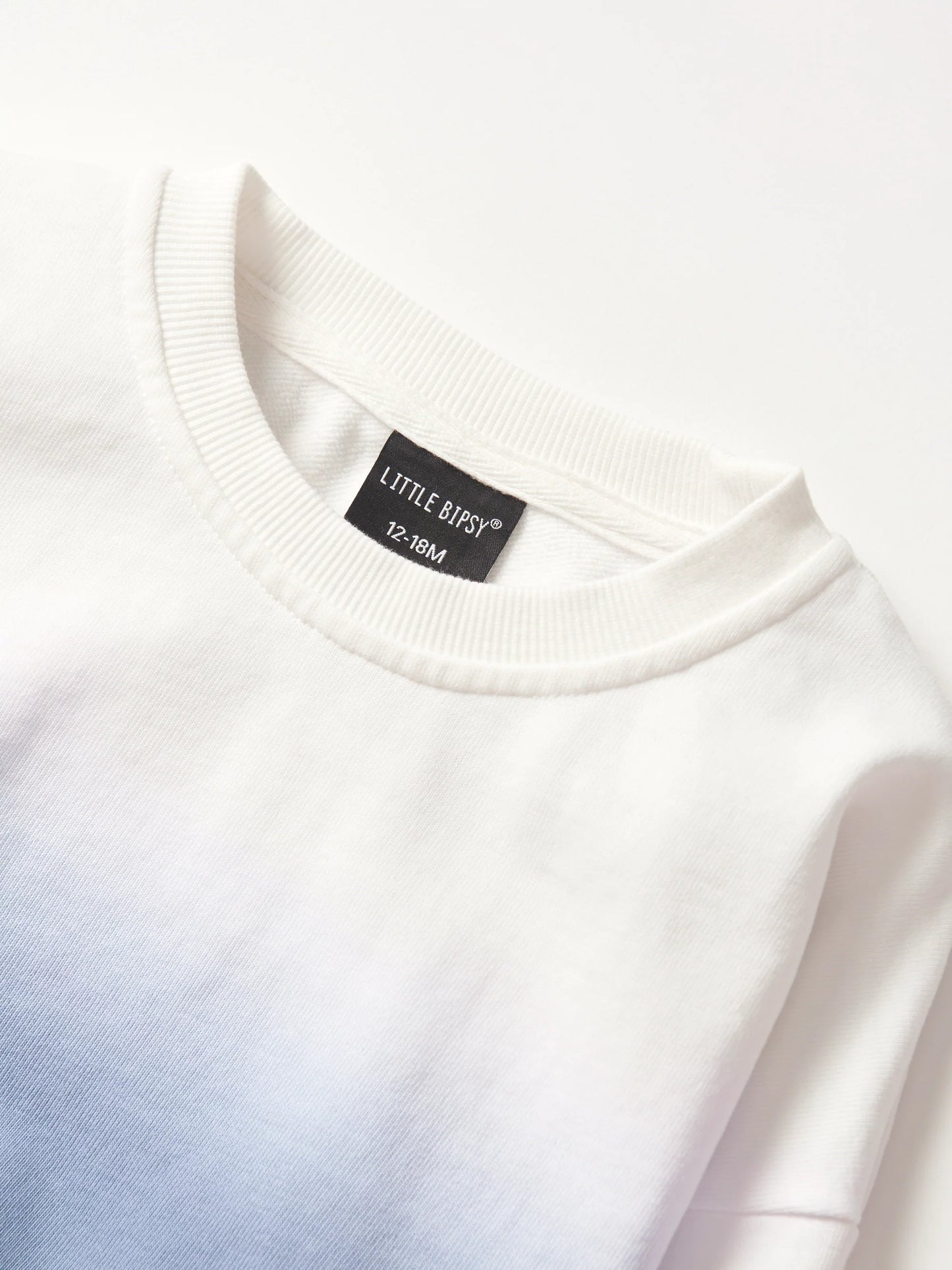 Little Bipsy Ombre Crewneck