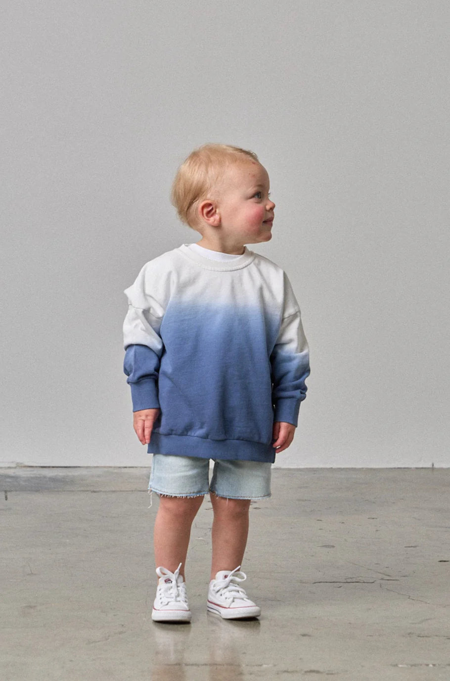 Little Bipsy Ombre Crewneck